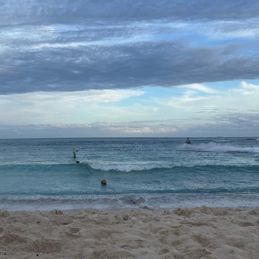 Meet your Posher, Alberto